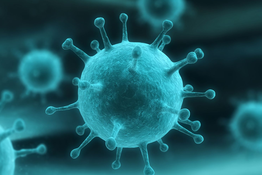 Infectious Diseases Treatment